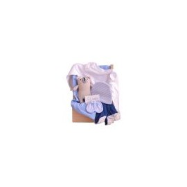 The Baby Basics Basket: Osito en Tonos de Azul