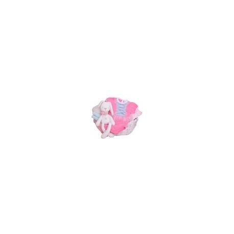 Canastas de regalo para nacimiento de bebé: princesa!